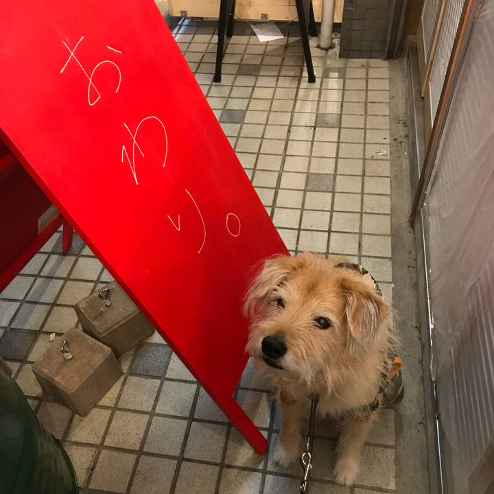 C627d027 169b 49b0 892f 49b75ccdf10d