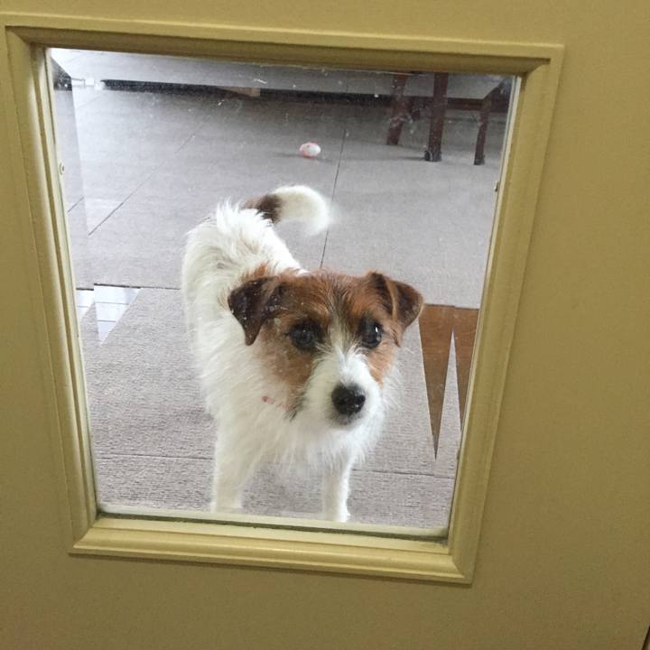 C627e437 ae80 4171 ba80 b78c64c9a990