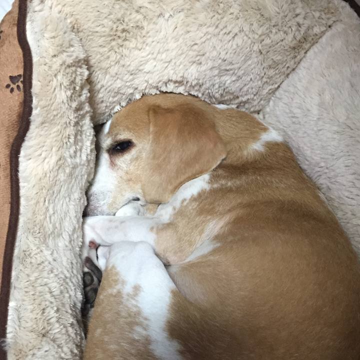 C6285536 9f0b 4c11 94bd 5858541bfc82