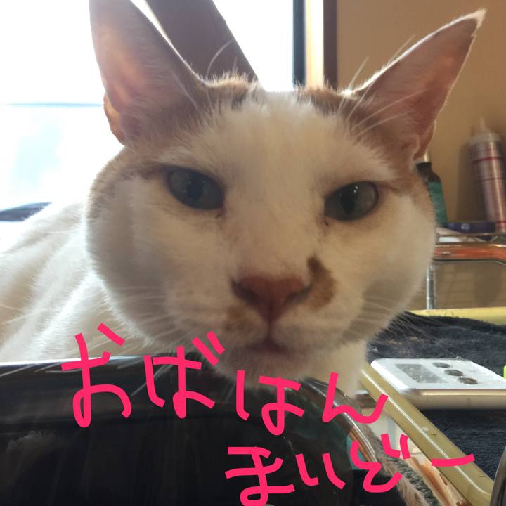 C628a190 0ac8 467b 9842 9134b372d2a7