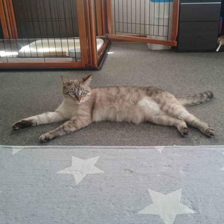 C629d27c 2060 49f5 9e5e 74023918bd20