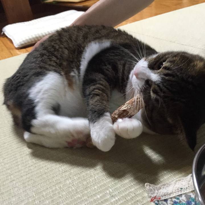 C62a2e60 6f84 473d bd97 5aff2b7e7afd