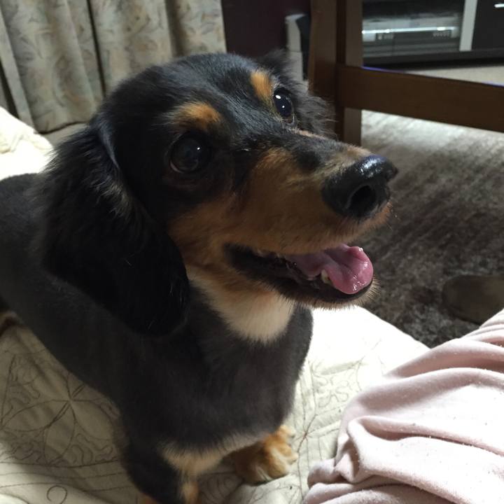 C62a39d4 5f4d 4616 ba06 d8a30fb9ec53