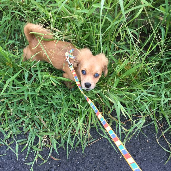 C62a869e 6f44 4d5c 97c3 219932242346