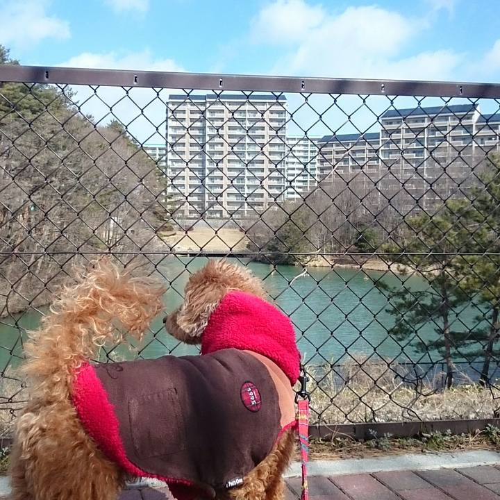 C62a919a 8a10 4530 8bef ba6932ca8320