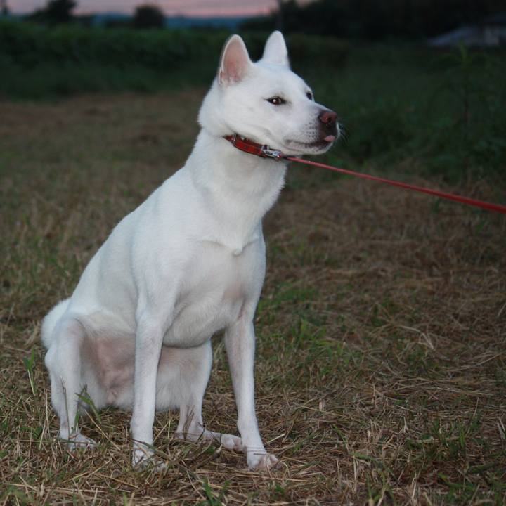 C62b2937 9498 4cb6 8a27 d6f8bccc837b