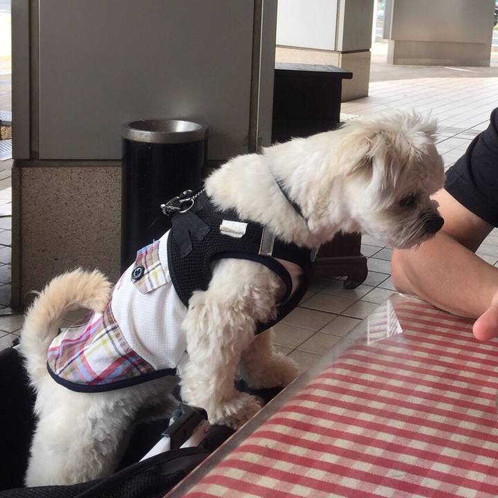 C62b3e79 b7ab 412b b0bd d36db3440099