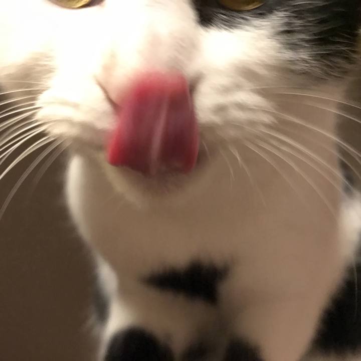 C62bc170 557f 4612 b28f fe3ecf4ac02e