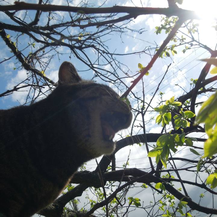 C62bc89b a06c 463f b459 6dc3e47c3647