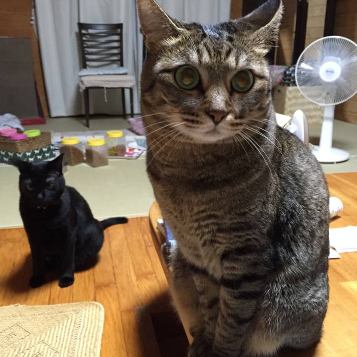 C62bf438 71b8 44d6 a711 71bce1eef22b