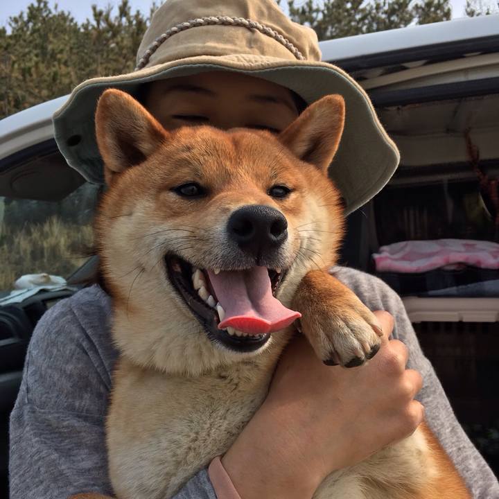 C62c3546 33fb 4af9 8bc9 09398bf9cdf1