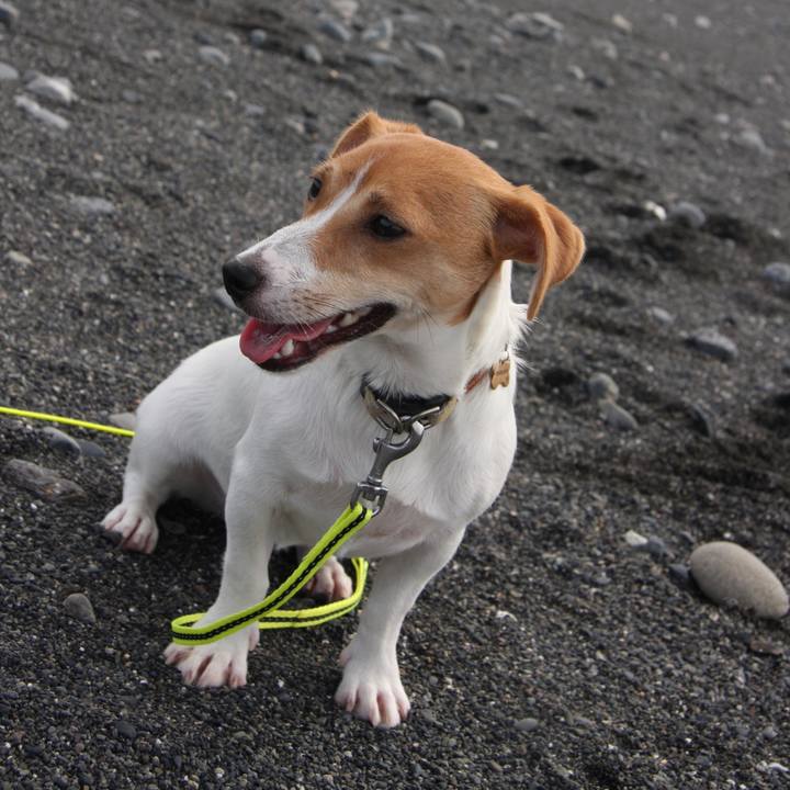 C62c35fe b9b2 4296 99e7 8f28a610d24f