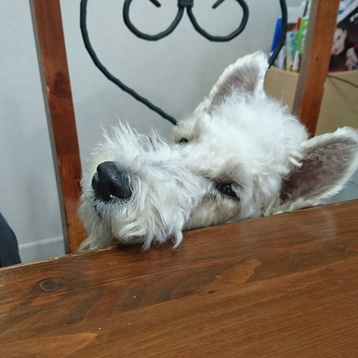 C62c3d59 7470 4a27 8724 f40bedbf4bf2