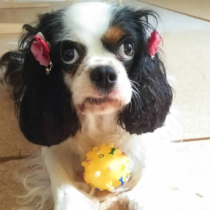 C62c733b 040e 4b2e 8a4e ee9f0b4f0e91