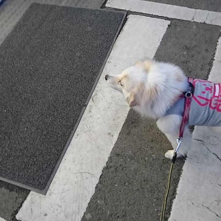 C62cc5c0 bf91 4c03 8134 76f0cc64cf09