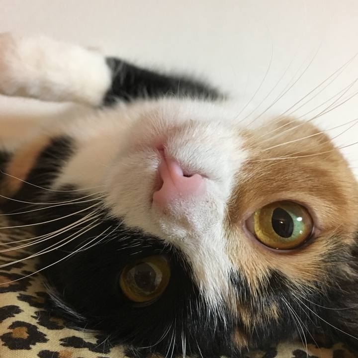 C62ee81e 7213 4d62 b2f5 5fd272a38e82