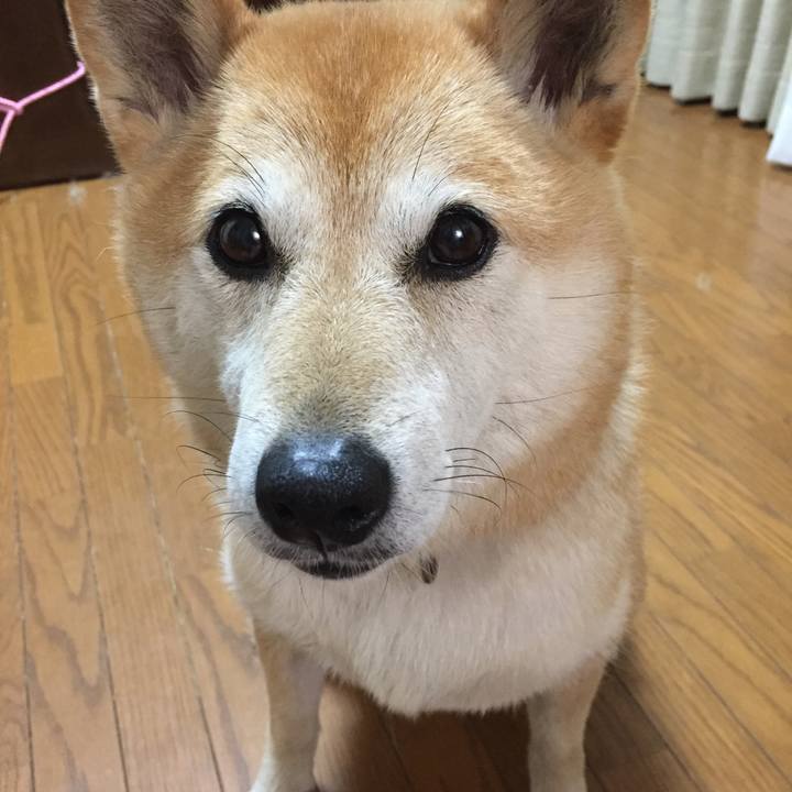 C62f5eba edd1 41b2 9c10 07975f3979b2