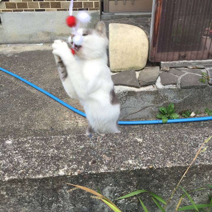 C62fd280 0dce 4d08 aa4c c7ba9c520f7f