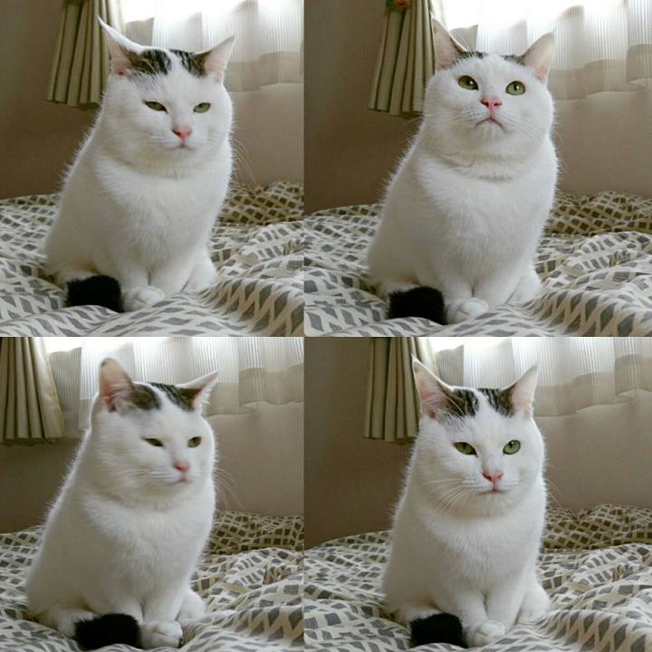 C62ff595 58d6 4600 8356 59eb477320e1