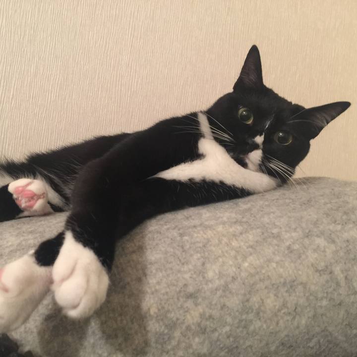 C62ffb94 ea64 40c4 a016 cc42e807d083