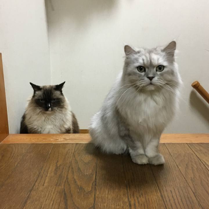 C63089fa 3a79 4e43 ba24 9e586a705f5b