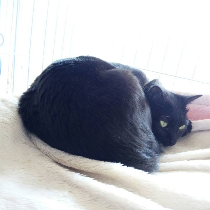 C630af1e 0d2e 47f6 8bc6 658d089f1bae