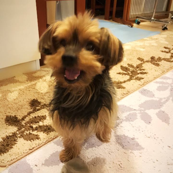 C630e63f abfe 4ef8 8830 e98e6fdc8779