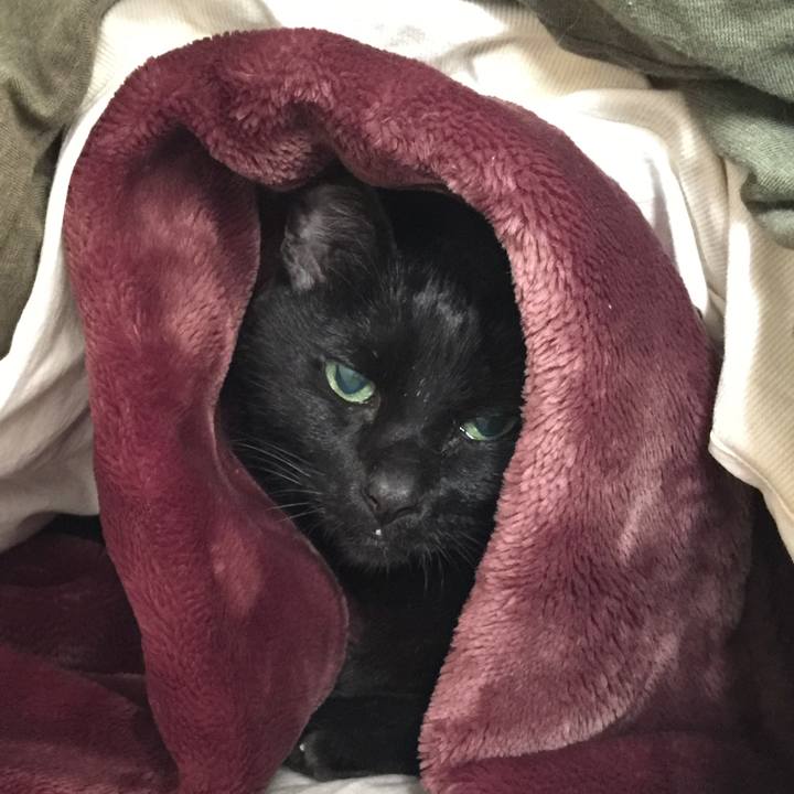 C63453e4 d702 4d99 9ce6 01fdf7ea390d