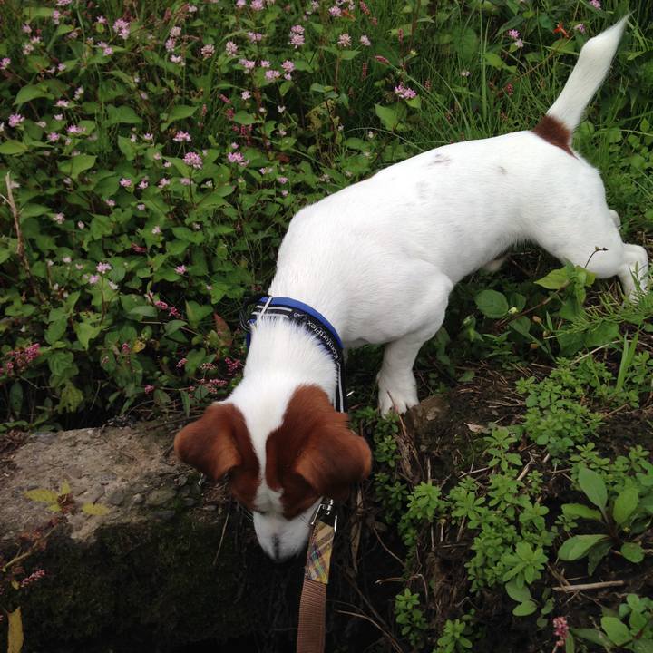 C63463cd 8df7 4fce ab66 976b1289a680