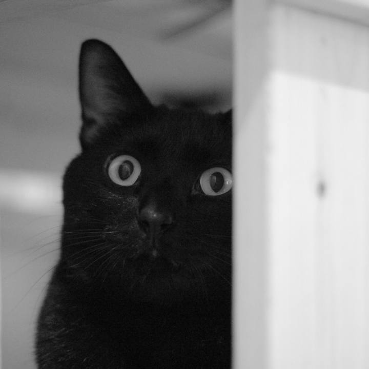 C6347046 c6f2 4837 9775 1ed0a29d65ef