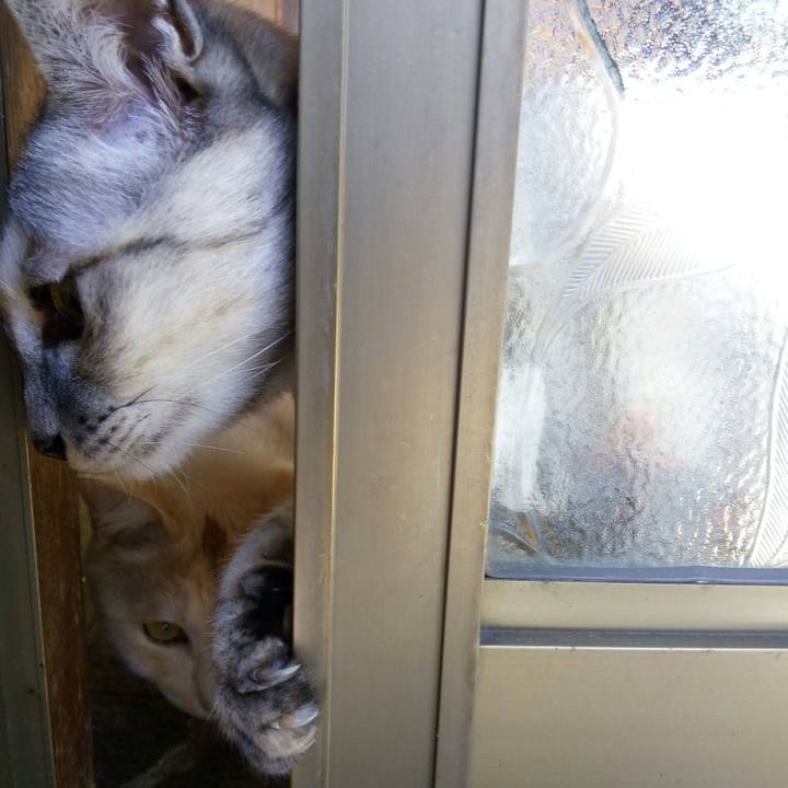 C634e374 43b9 42eb bf55 25315fe26282