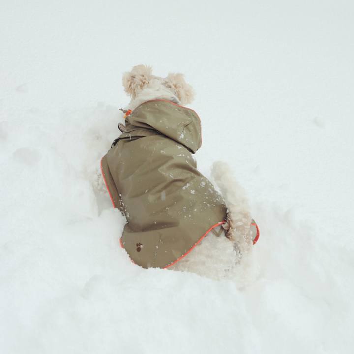 C6350576 ed59 493f a397 7cbdef207201