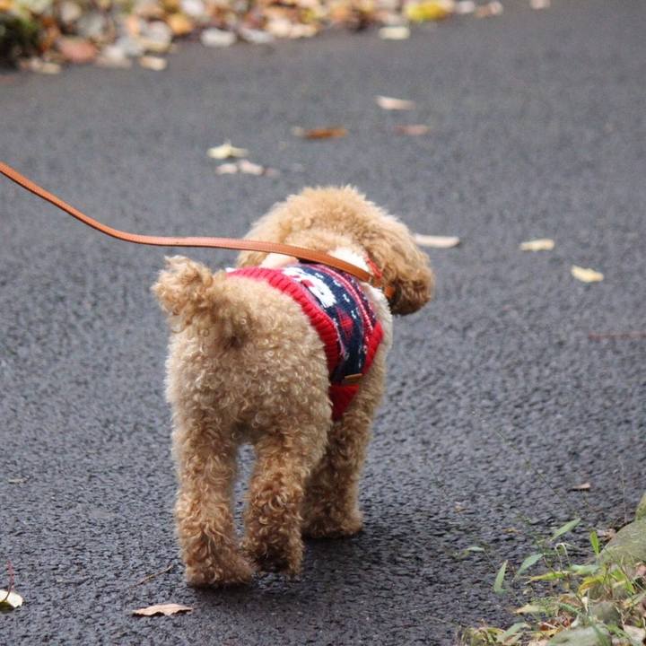 C63515ba bb64 4408 a961 c303c1617d8b