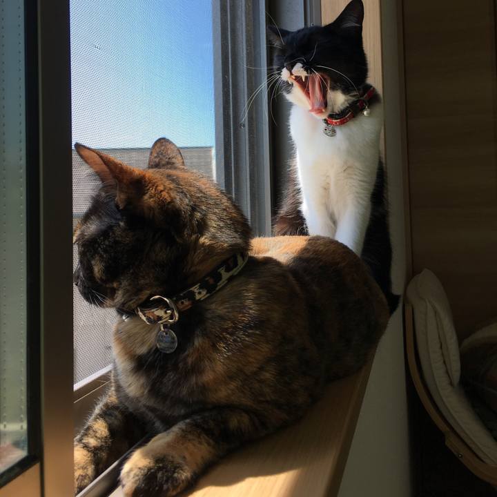 C6359a39 39fe 4a10 a54b b3e54da73f5d