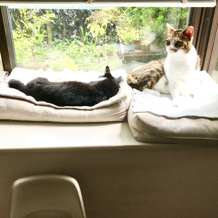 C6361a05 0d37 496a 87e0 1537de109aff