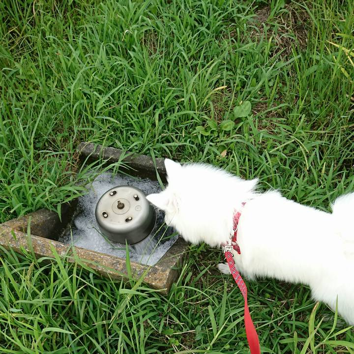 C6367514 d7ce 4732 b6e9 b50725b54d2c