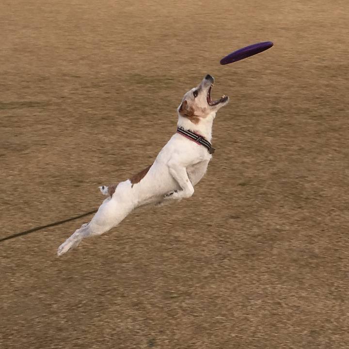 C6367628 0a20 4430 a8fb 749895772c1a