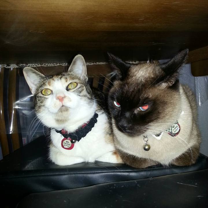 C636deb7 a2b4 4239 ad8f 7531388bdbb0