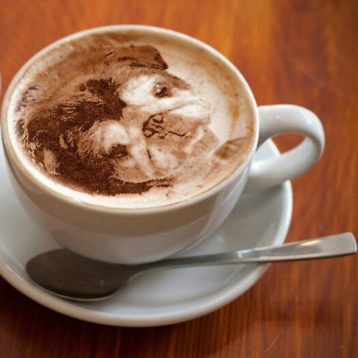 C637056d 9b51 4c29 b464 13843f31e7d5