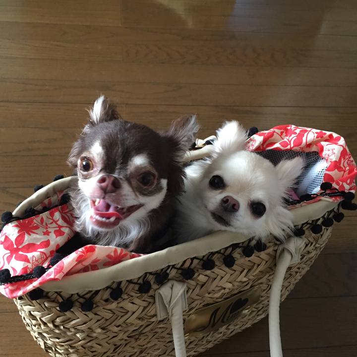 C637fb31 aba2 403e 8515 be1a7b66e193