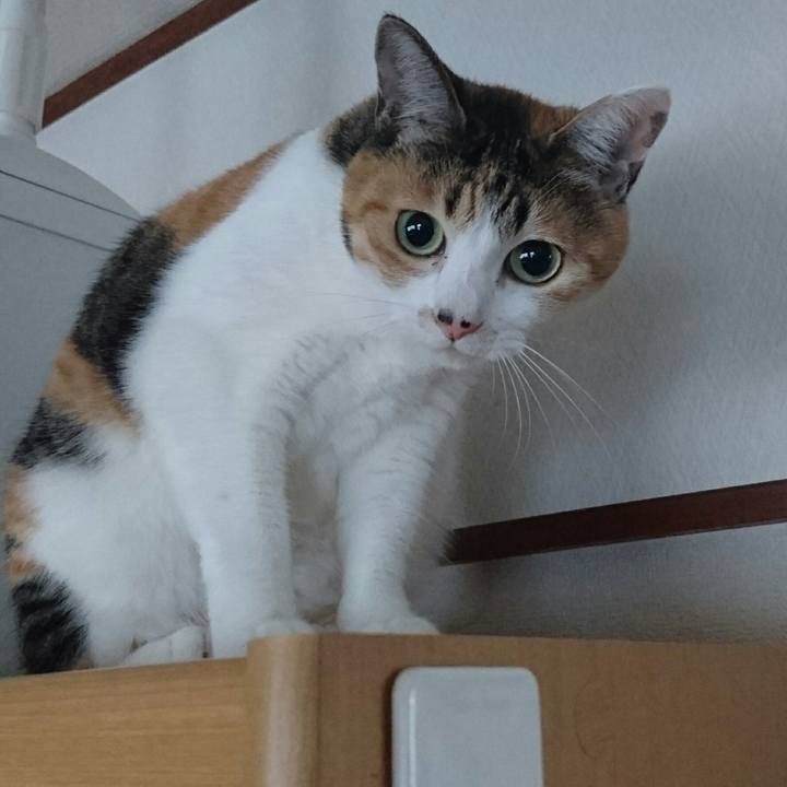 C6384389 5e57 46eb 9870 d7a02dc45638