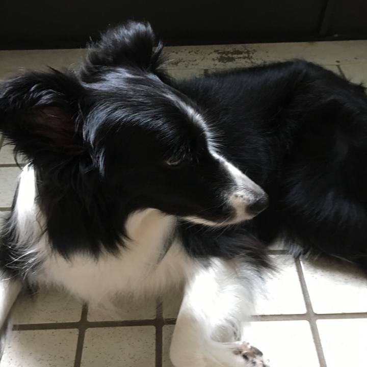 C63920d4 d8bc 4ba6 92ab 21f3db685d1b