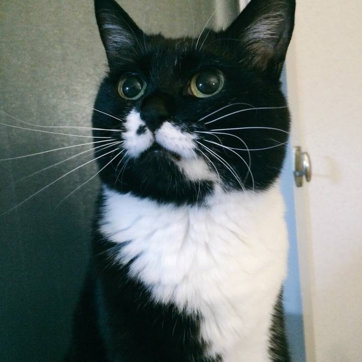 C63930d1 d6bc 431d a414 88e6ba8bf21e