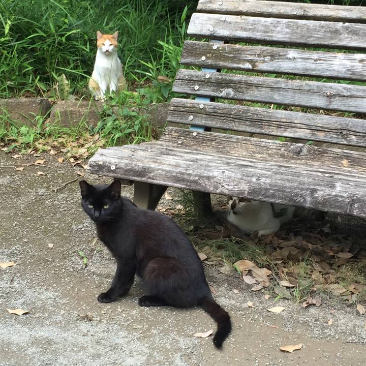 C6397115 e9d5 4f8c 9fed 28e2ce7e8733