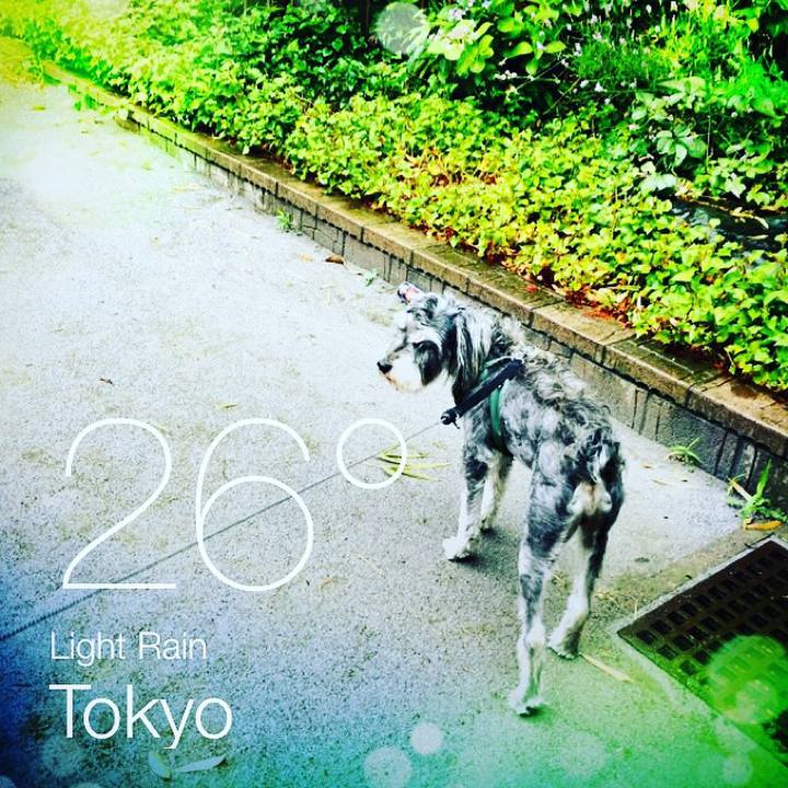 C639e043 44a3 4235 8f42 9ecc71906bae