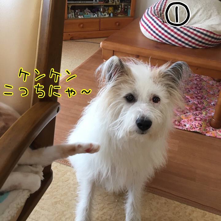 C639f5f7 e5c2 411b 9066 56b13a0f0652