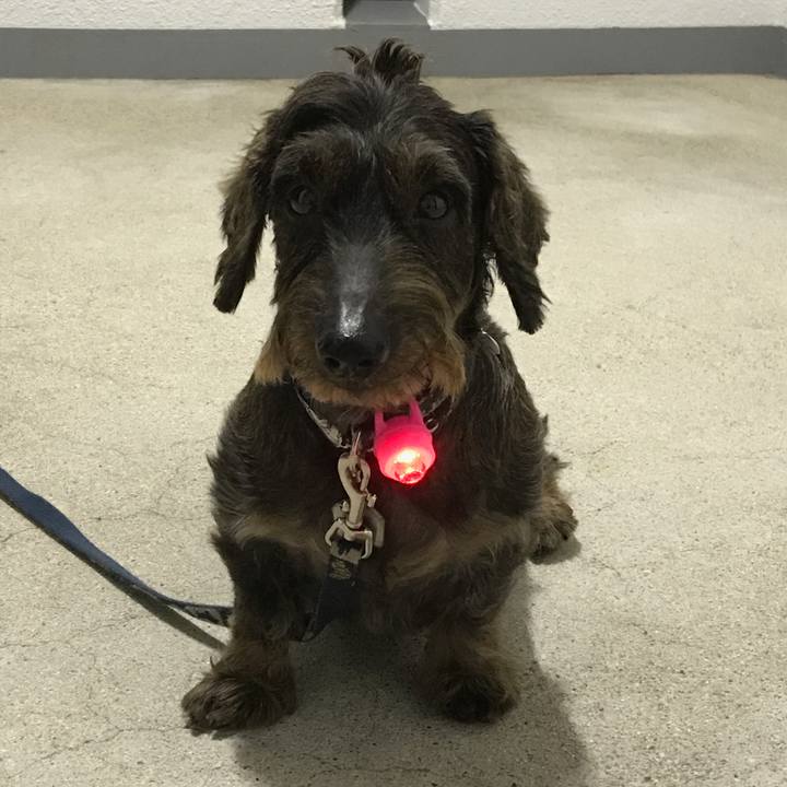 C63af693 aff8 4ed2 bd0b 9a2b41dbbdee