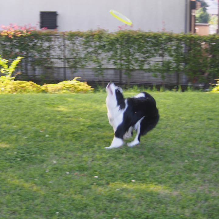 C63b0614 c006 4d98 9260 7914d87ec6e2