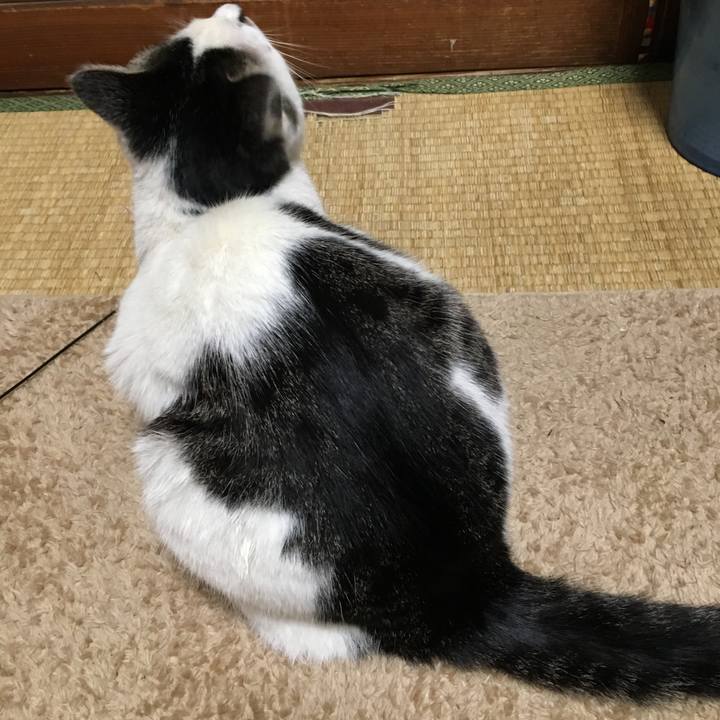 C63b8af2 216c 4b07 a4bf a75210ce7917