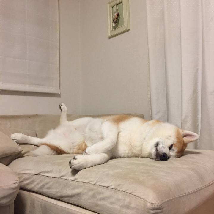 C63c805c f83d 473c 80e2 abe4d42b5277